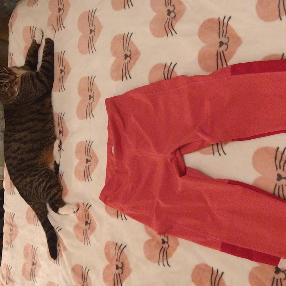Yoga workout pants